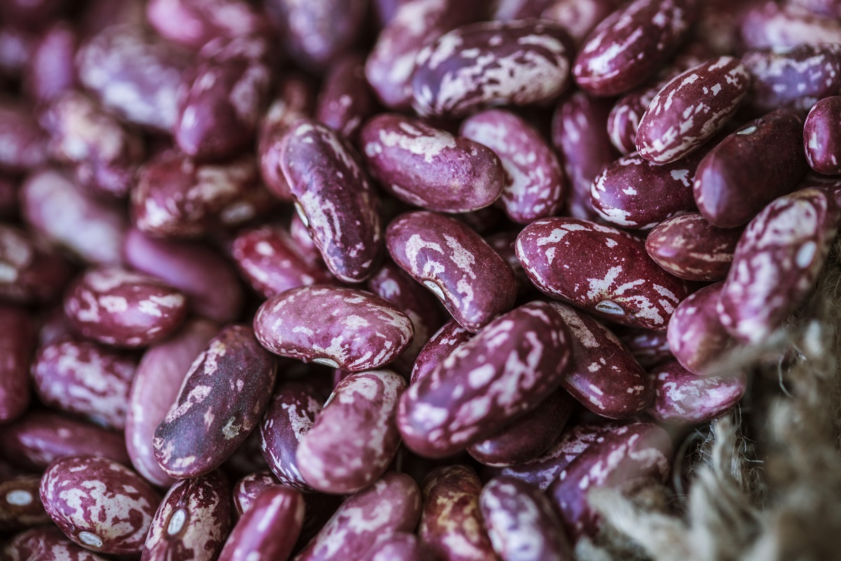 RED SPECKLED KIDNEY BEANS
