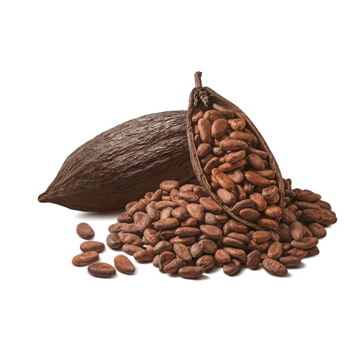 cocoa-beans-uganda
