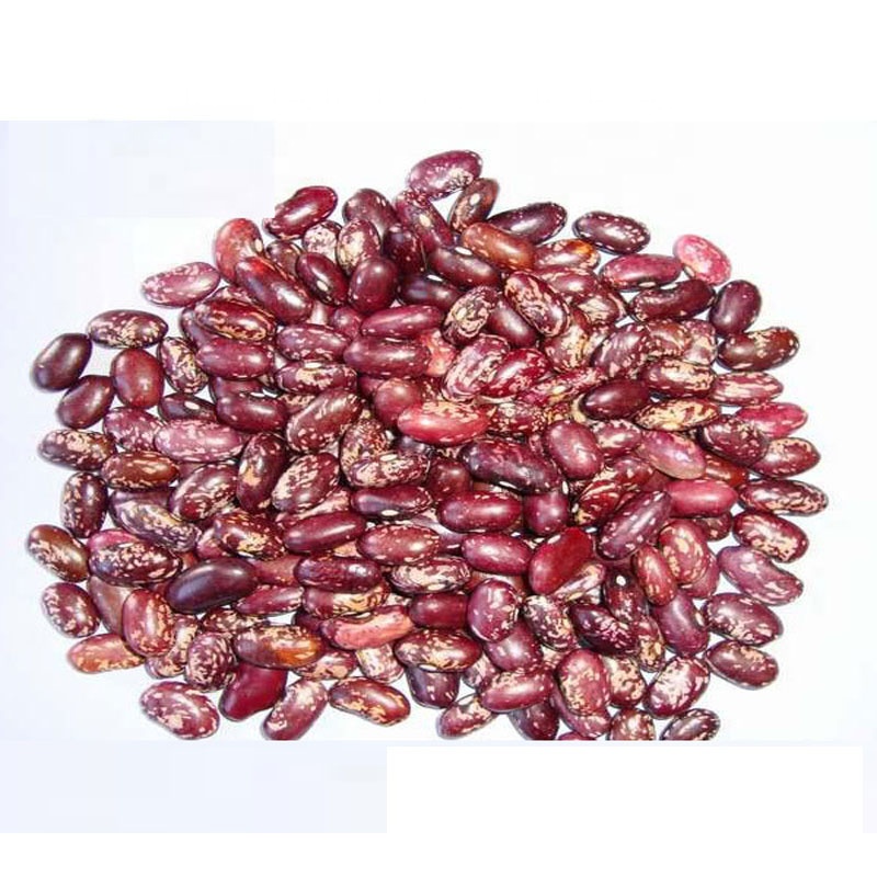 Red-speckled Kidney-Beans-Uganda