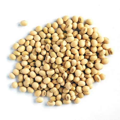 soya-beans-uganda